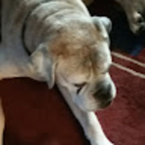 Meet your Posher, Jacob